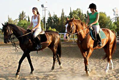 At ve Red Pony Gezintileri